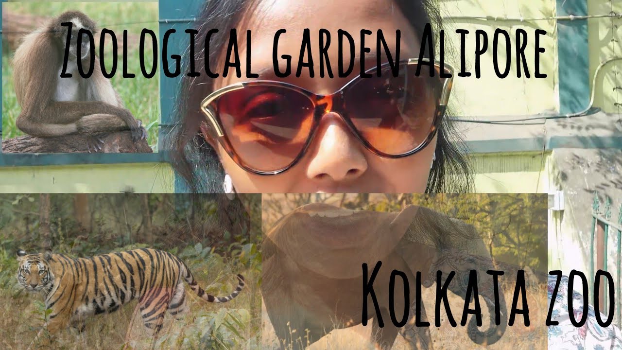 Zoological garden alipore || Kolkata Zoo || Family vlog || west bengal || Zoo me bohot maza aaya🥰🥰