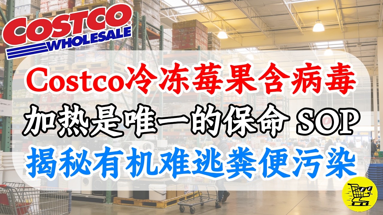 别生吃！Costco冷冻莓果含“诺如病毒”？工业审计报告：为什么“加热”是唯一的保命SOP？