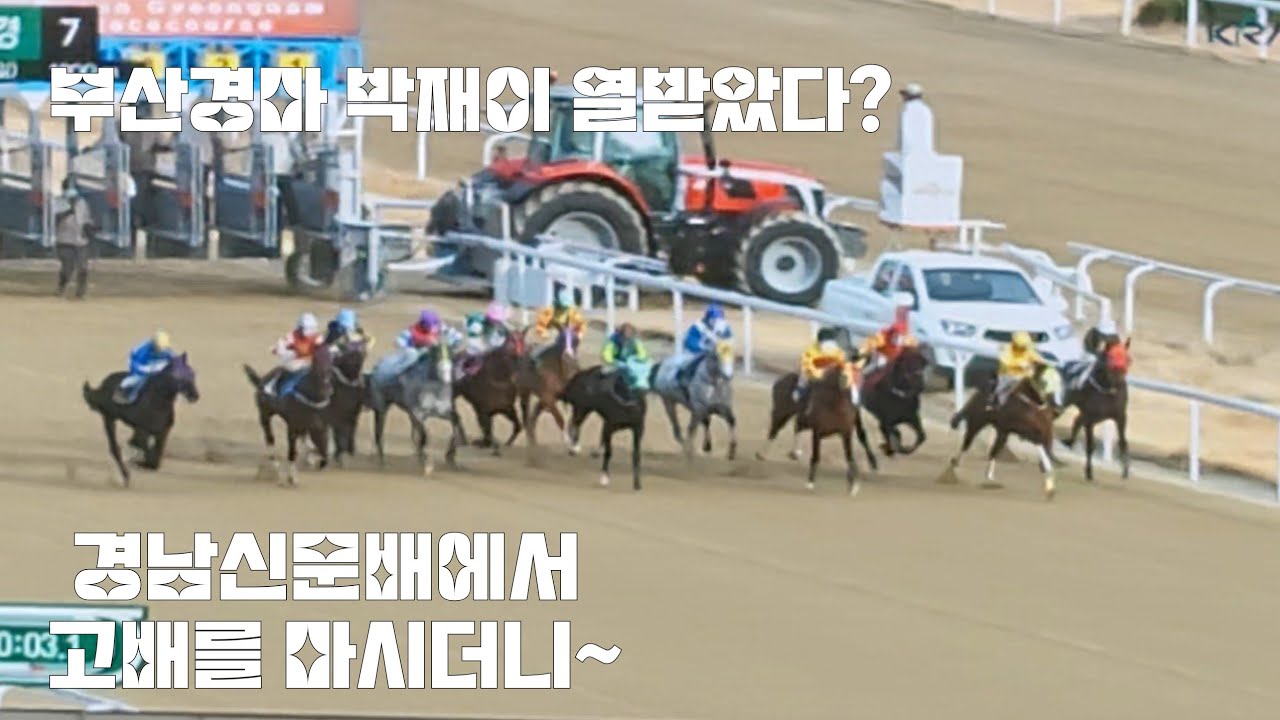 슈퍼땅콩부부 필살기(대상경주나간 신랑 간신히3착^^/ 열받았나 다음경주우승