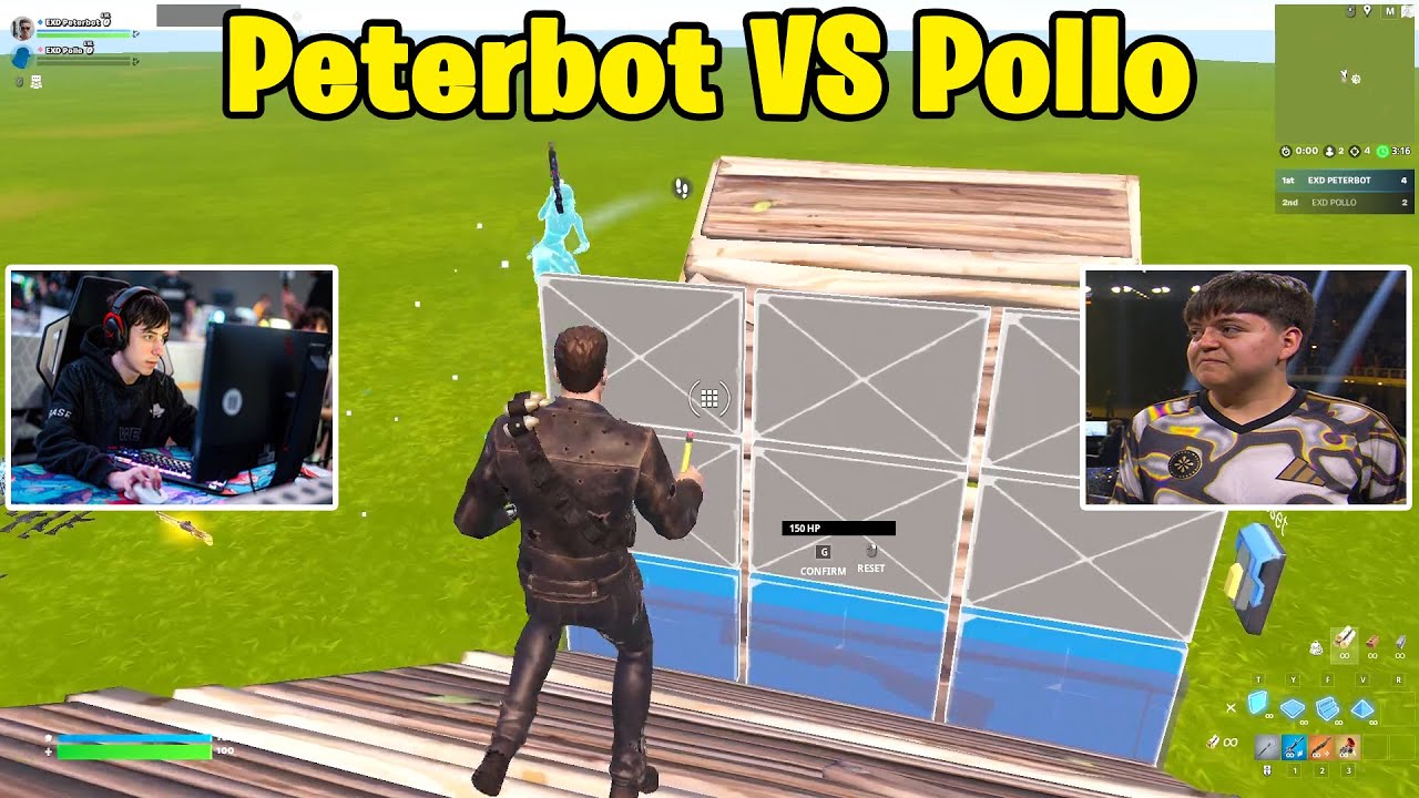 Peterbot против Pollo: бои по сборке 1 на 1!