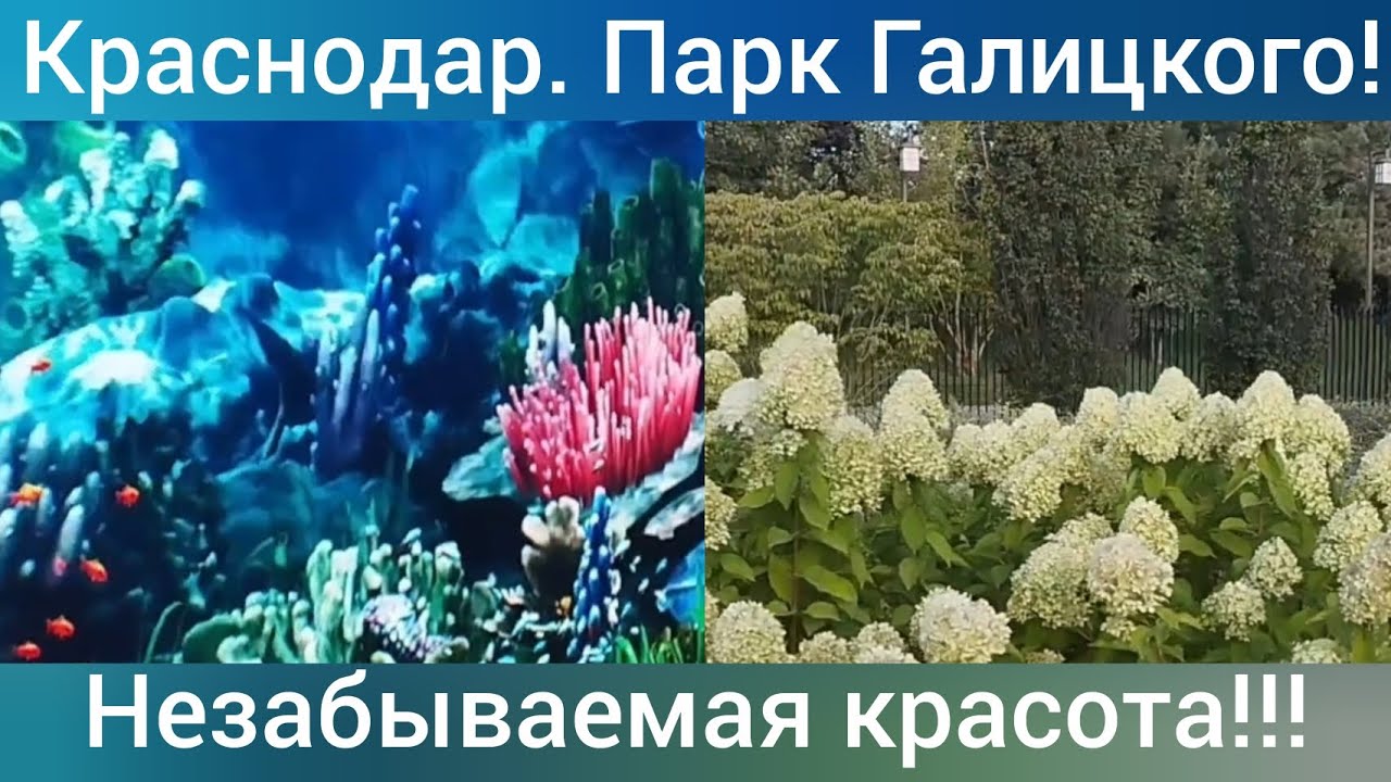 Краснодар, парк Галицкого/ Новая локация 