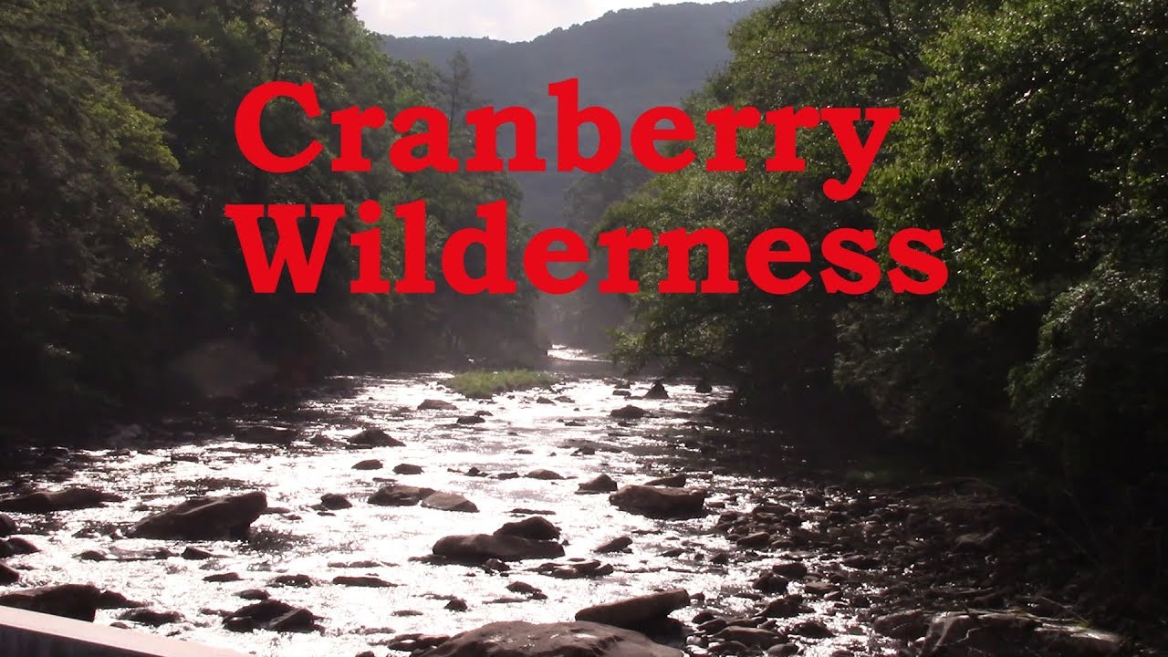 Cranberry Wilderness Trout via Mule Trip