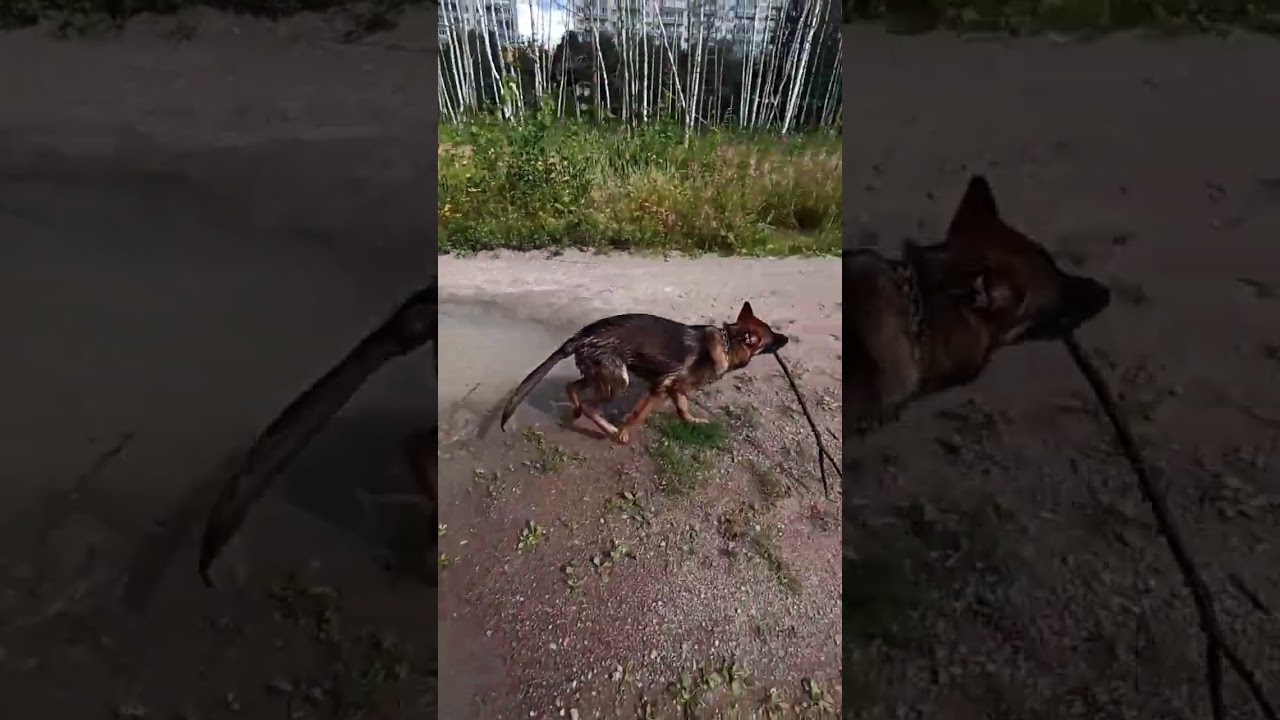 Best and Co ... ну и лужи...канешн😎