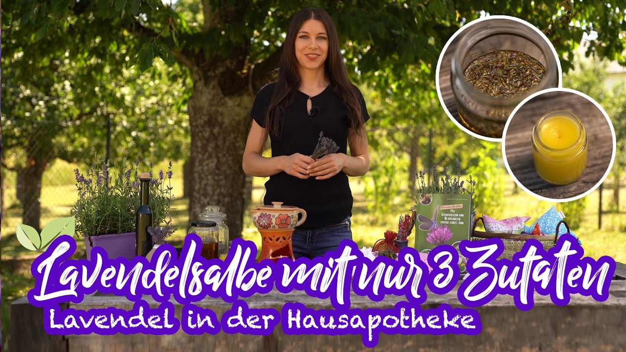 Lavendel in der Hausapotheke 💜 Anleitung für Lavendelöl und Lavendelsalbe #wildkräuter #docfischer