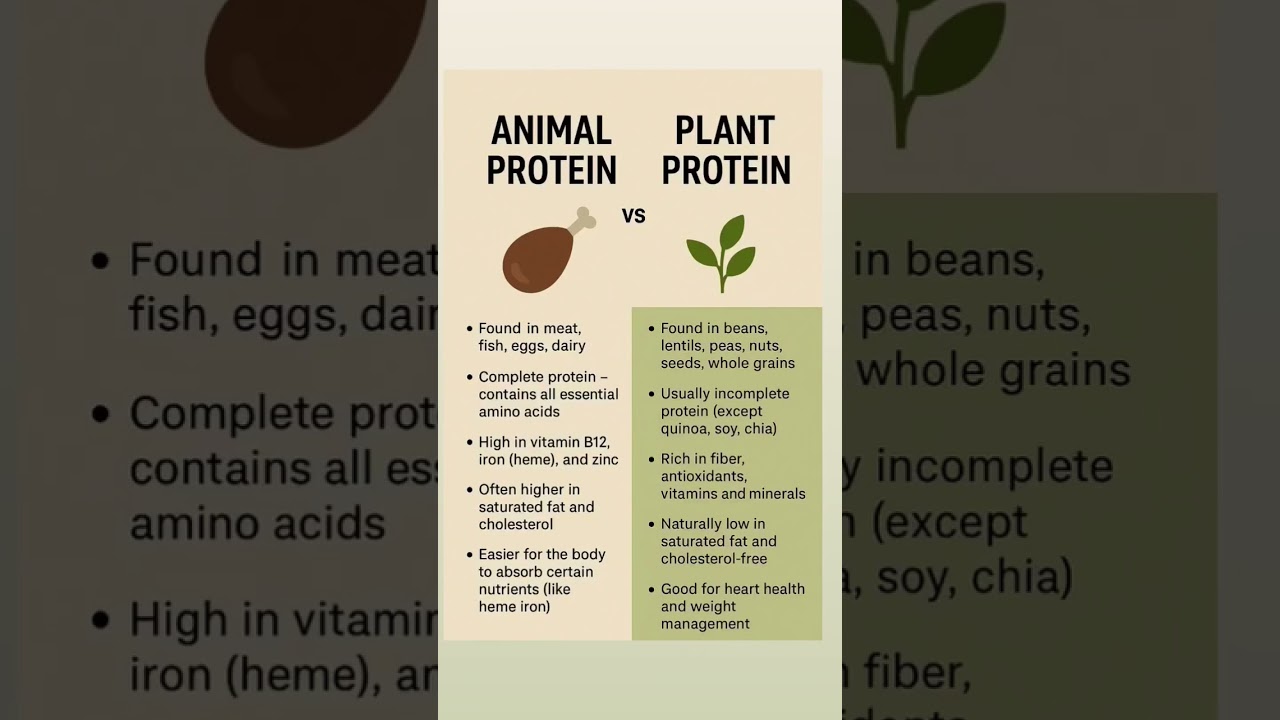 Plant protein and Animal protein 🌱#plants #animals #protein #healthyfood #nutrition #nutritiontips