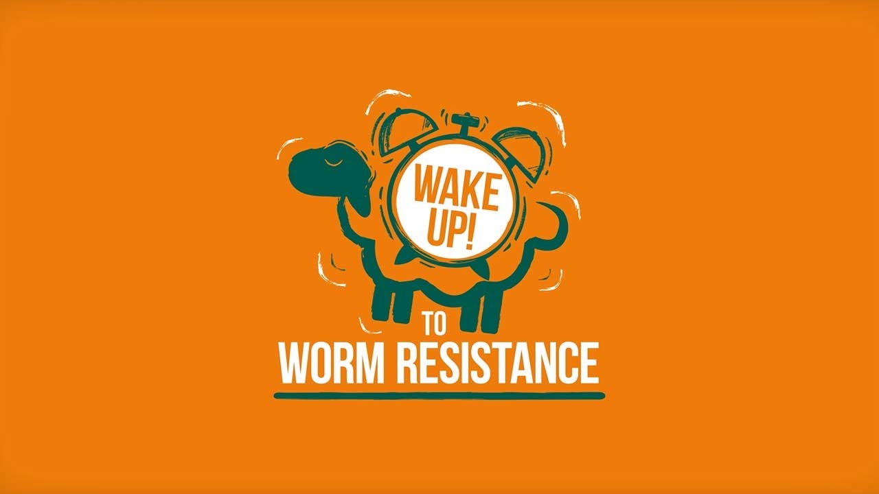 Zolvix Sheep Drench Oral Solution - WAKE UP TO WORM RESISTANCE!