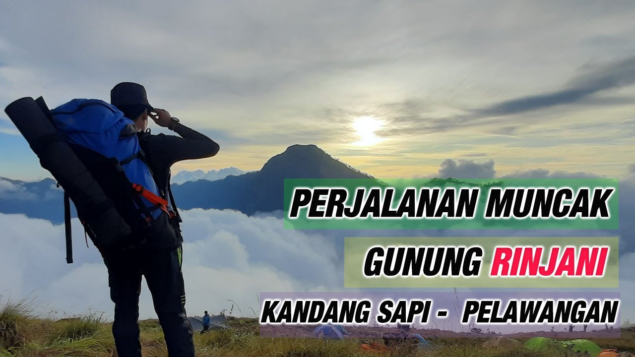Perjalanan dan Estimasi Waktu & Biaya Naik Gunung Rinjani Dari Kandang Sapi Sampai Ke Pelawangan