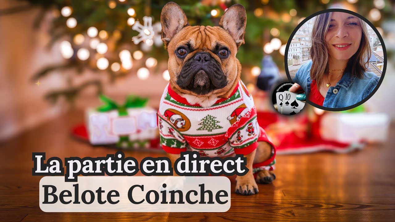 Quitte ou double Belote coinche en direct #cartes #belote #jeuenligne #jeudecartes#direct #strategie
