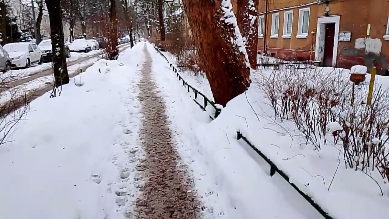 Нескучный урок прусского языка 😉