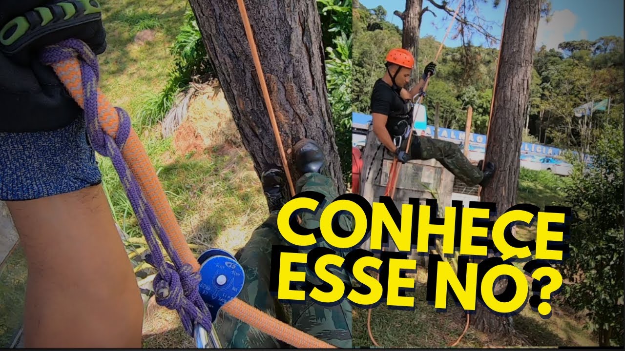 Como SUBIR NA ÁRVORE com o NÓ DISTEL