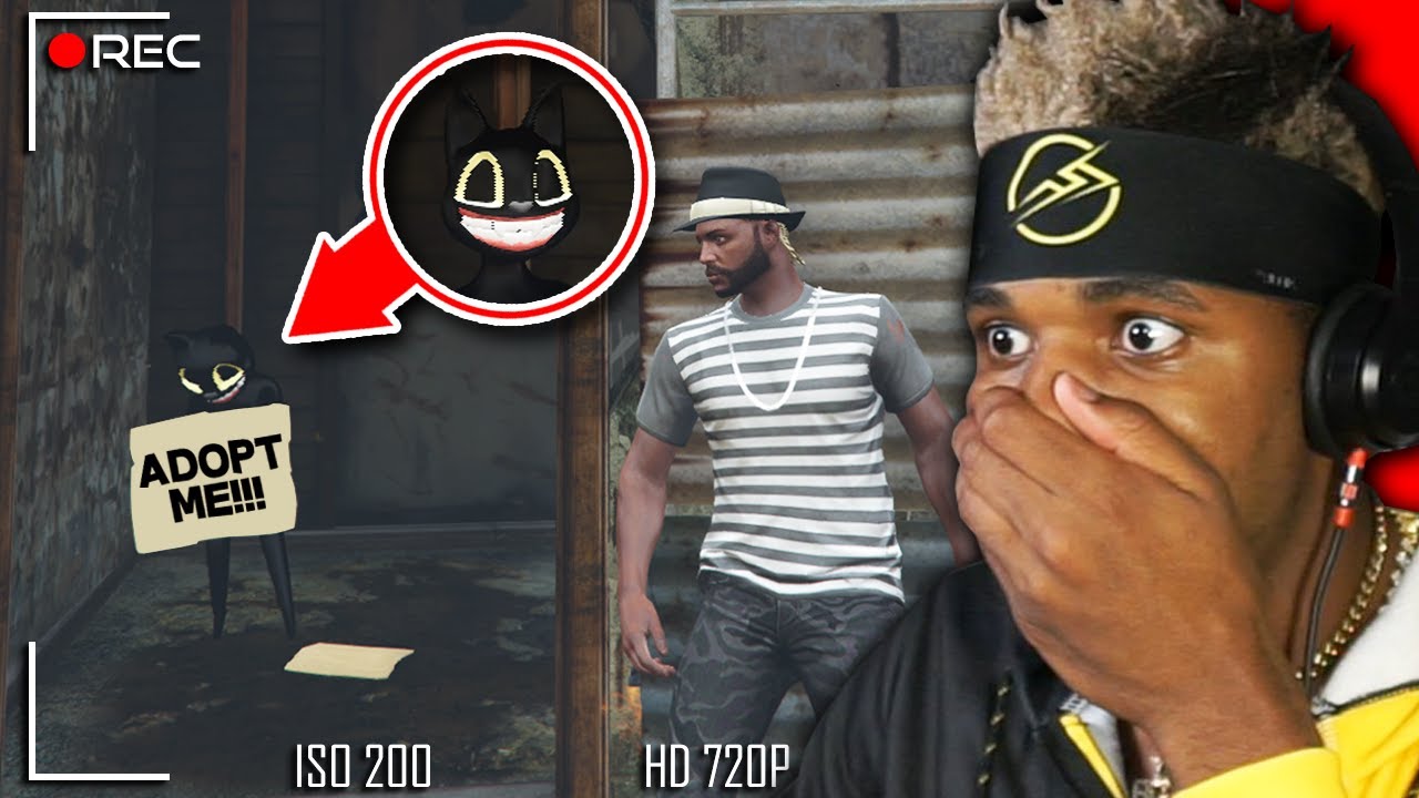 WE ADOPTED CARTOON CAT IN GTA 5! (Online)