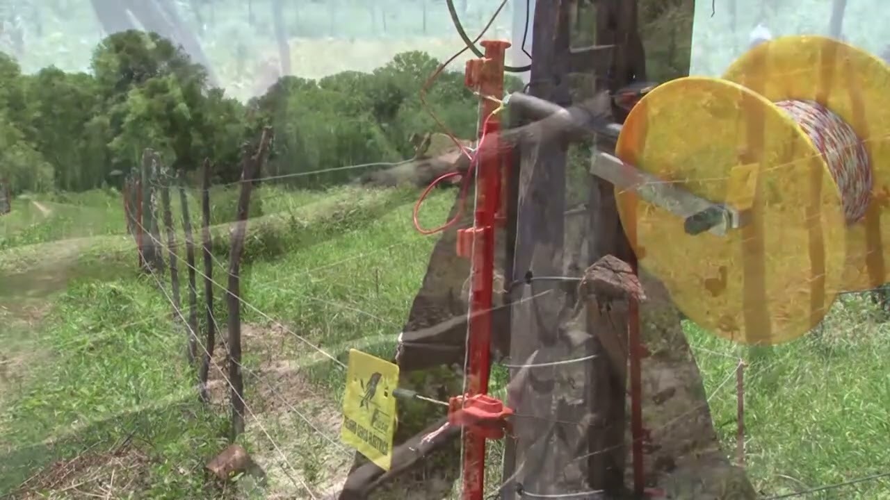 Utilización de alambrados eléctricos / Agroelectrificaciones