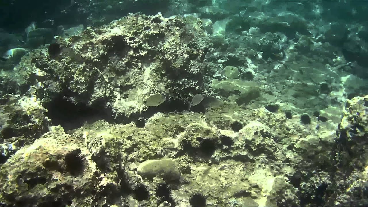 Snorkeling at Tsolis Camping