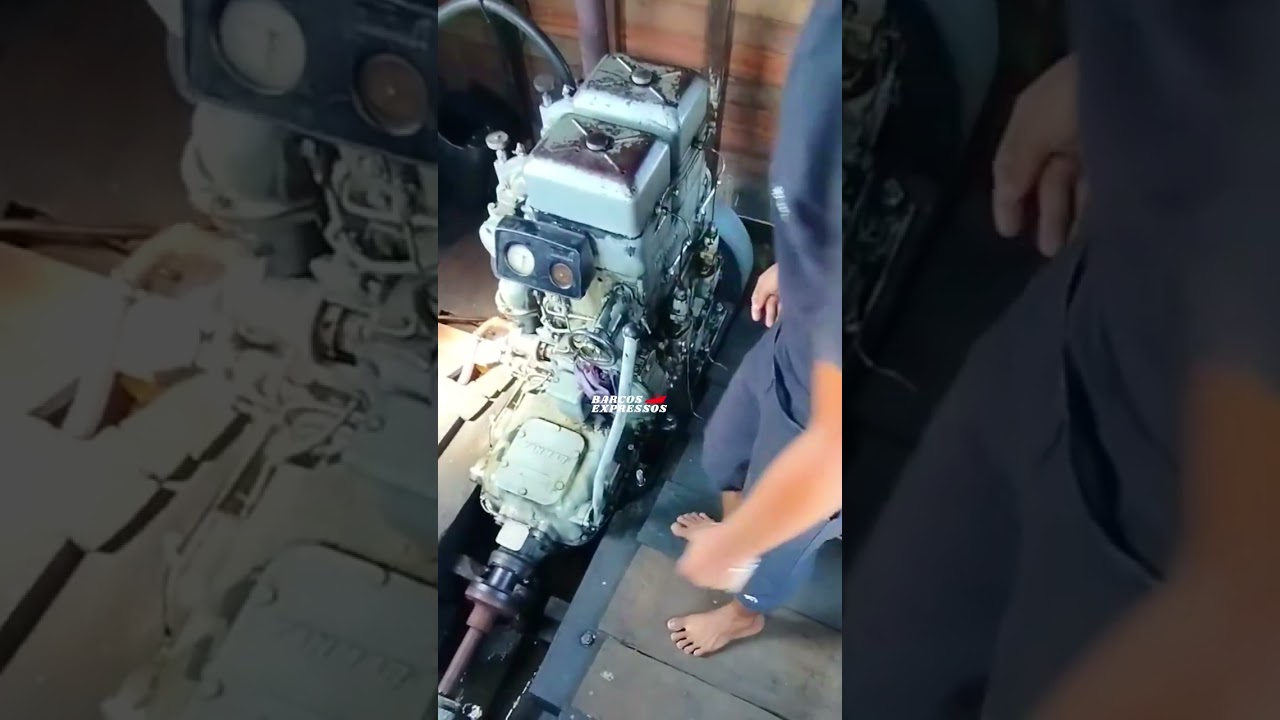CABEÇA BRANCA DE RESPEITO