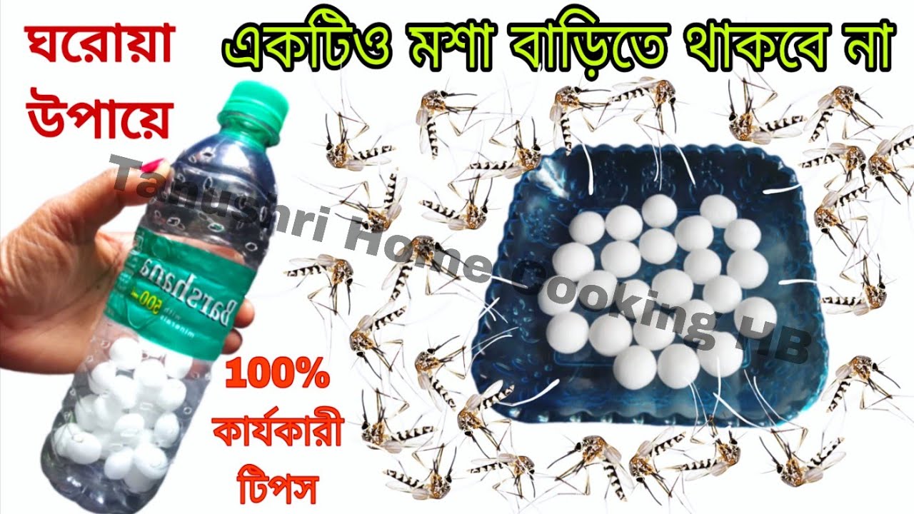 শুধুমাত্র  ন্যাপথলিন দিয়ে মশা তাড়ানোর 100% ঘরোয়া সহজ উপায়, সব মশা দৌড়ে পালিয়ে যাবে।Mosquito killer.