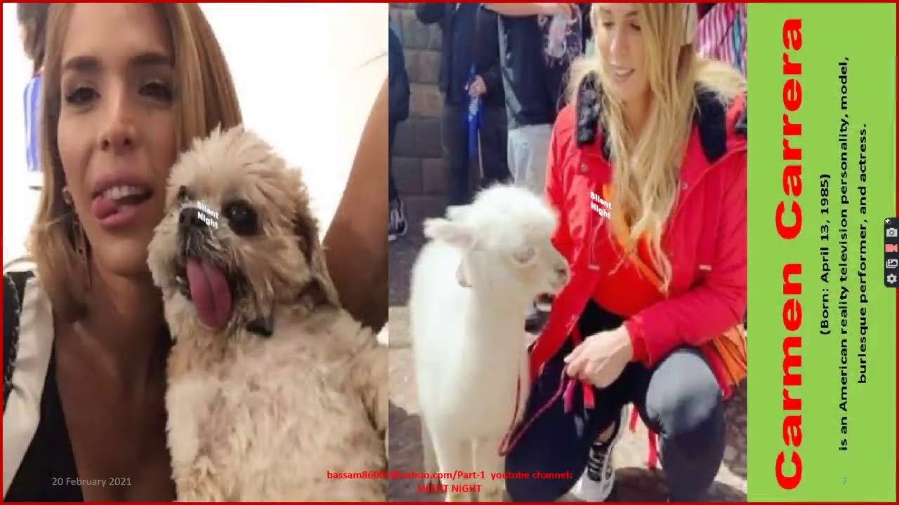 Celebrities With Their Adorable Pets Part 1/Camera