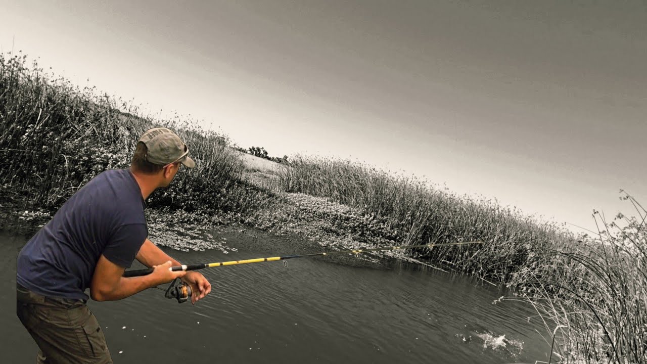 PESCA DE TARUCHAS. Encuentro una laguna escondida. 