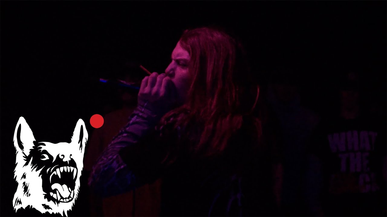 MAULED - LIVE at Hi-Tone, 12/10/25