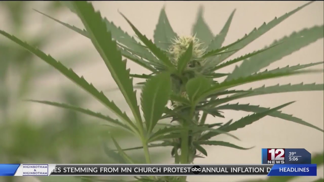 West Virginia Democrats seek to put cannabis legalization on public ballot
