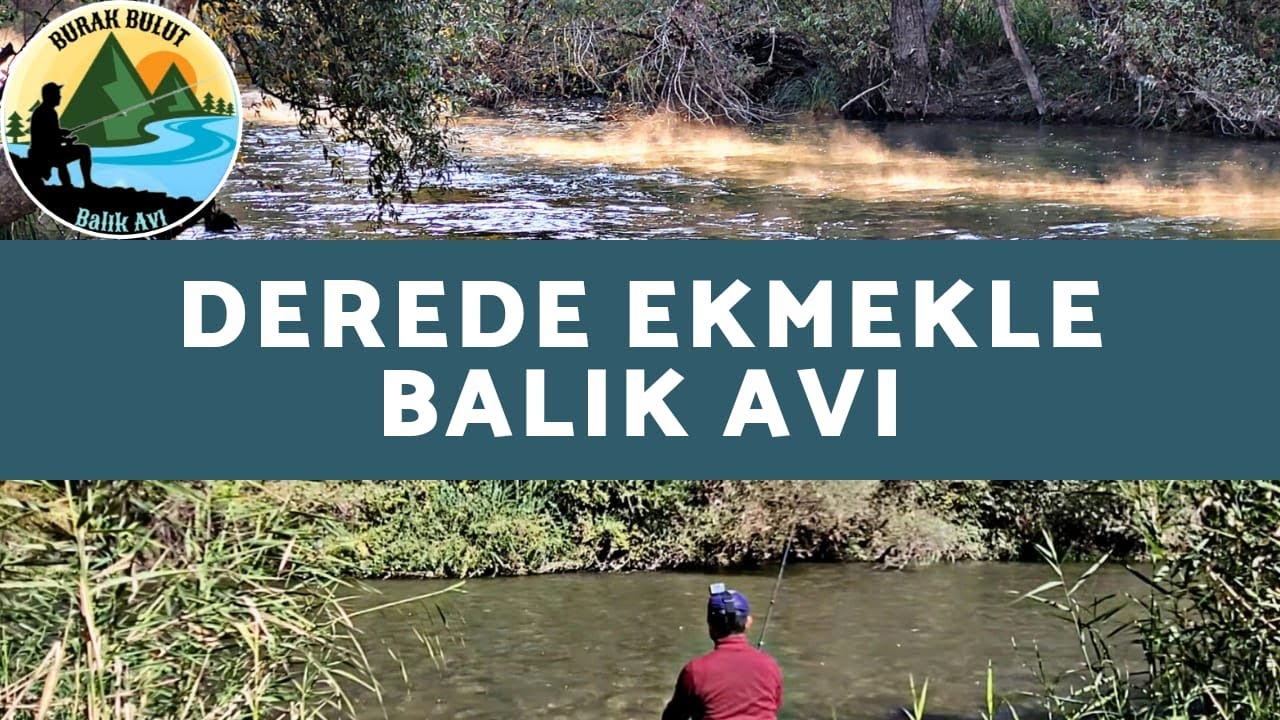 Derede Ekmekle Balık Avı | Karaburun (Alay) Balığı Avı