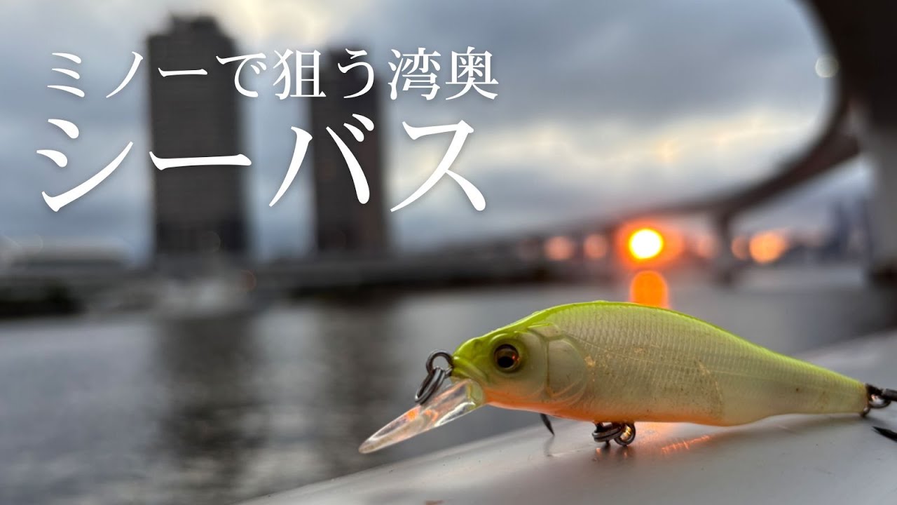 【シーバス】東京湾奥の運河を調査！ミノーでまさかのヒット！【湾奥シーバス】Daytime Seabass Fishing in Tokyo’s Canals — Unexpected Strike!