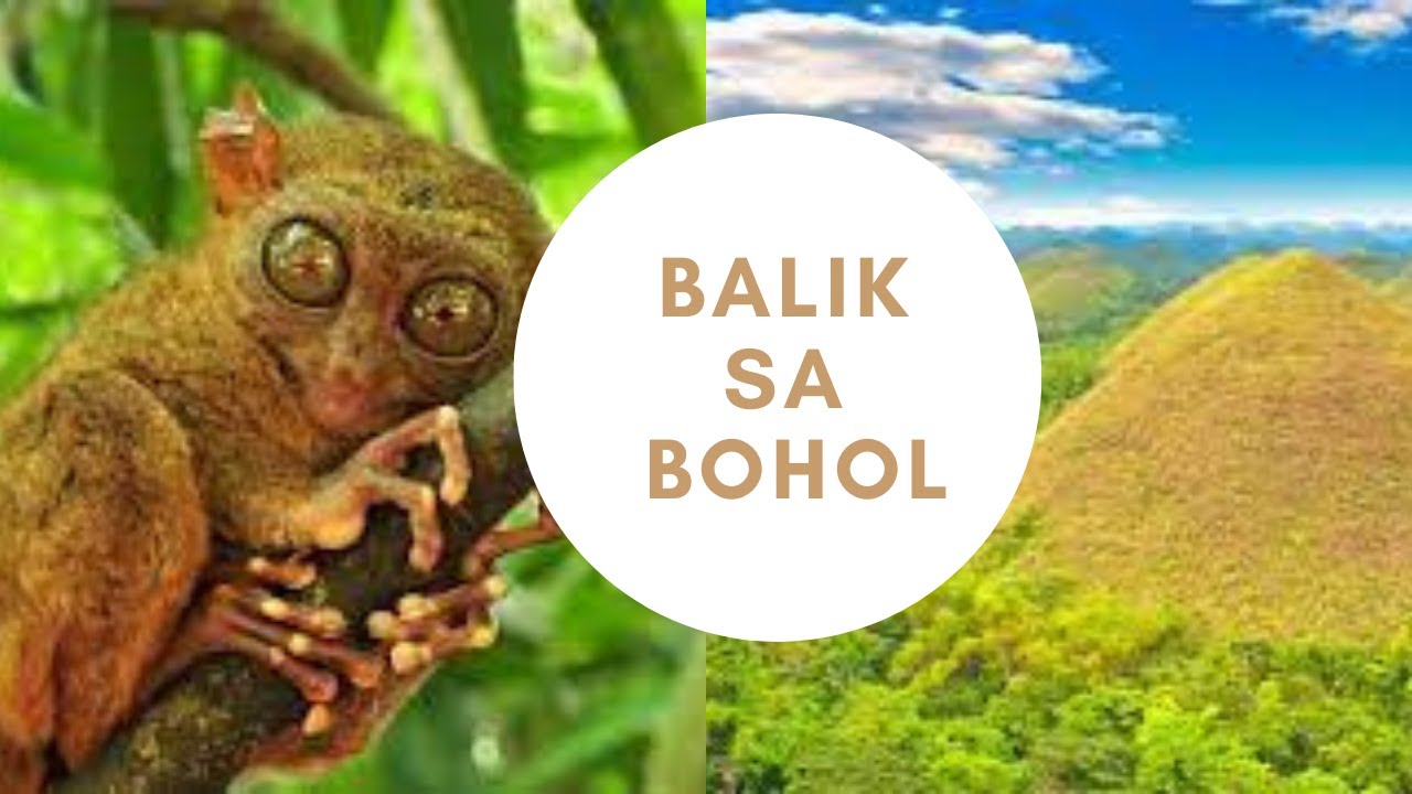 BALIK SA BOHOL / BOFETTO VERSION