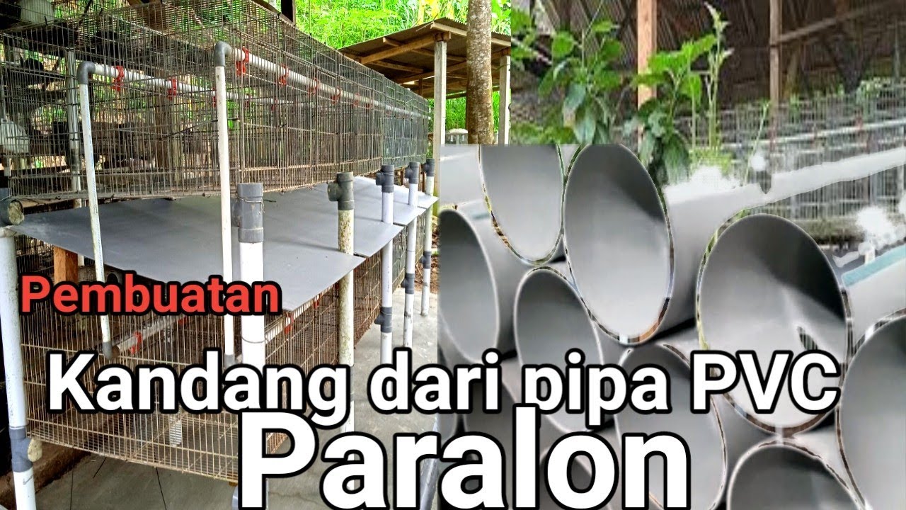 Tutorial Pembuatan kandang kelinci penggemukan murah dan mewah