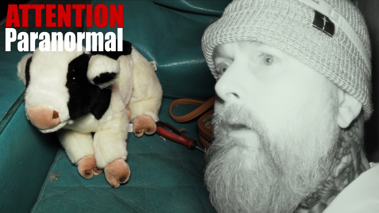 Quelque chose ne va pas ici // UNE MAISON SOMBRE