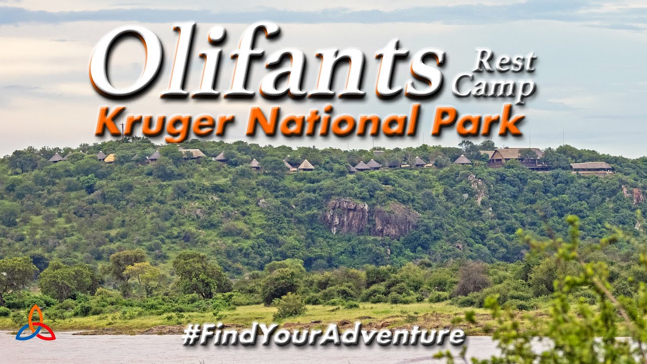 Olifants Rest Camp Review Kruger National Park