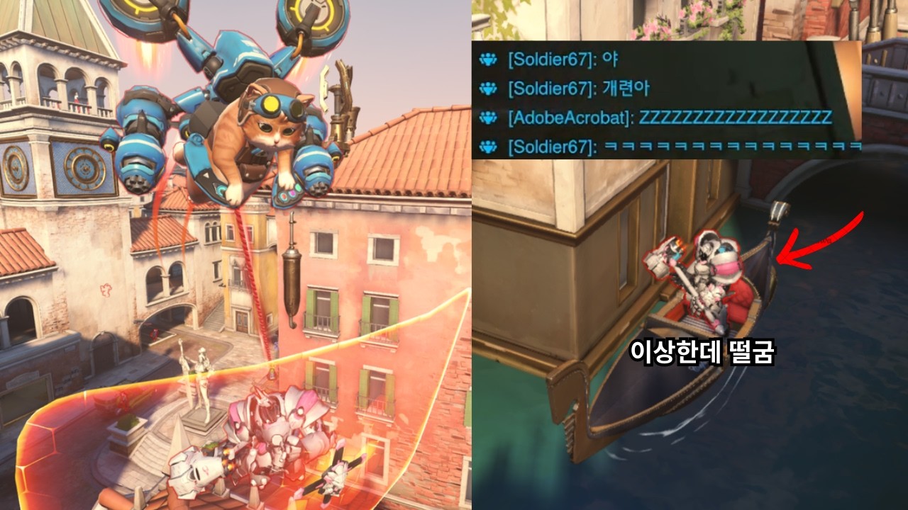 고양이 활용법.
