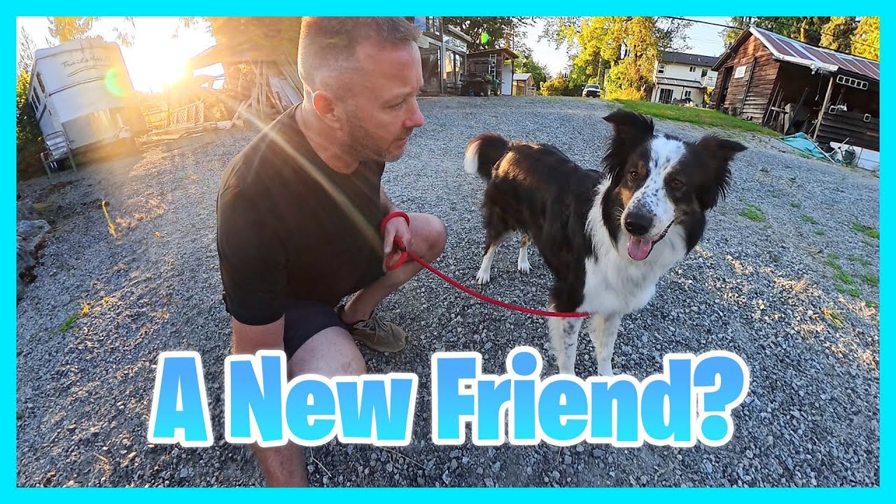 A New Friend?
