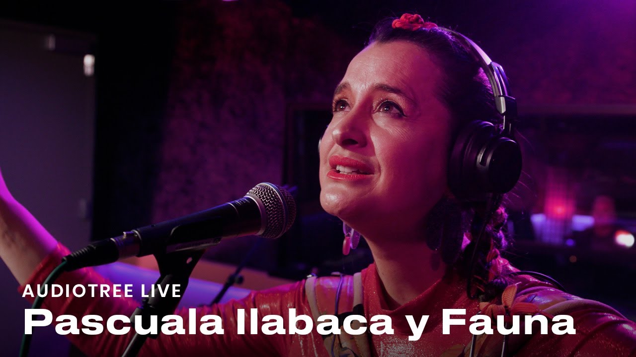Pascuala Ilabaca y Fauna on Audiotree Live (Full Session)