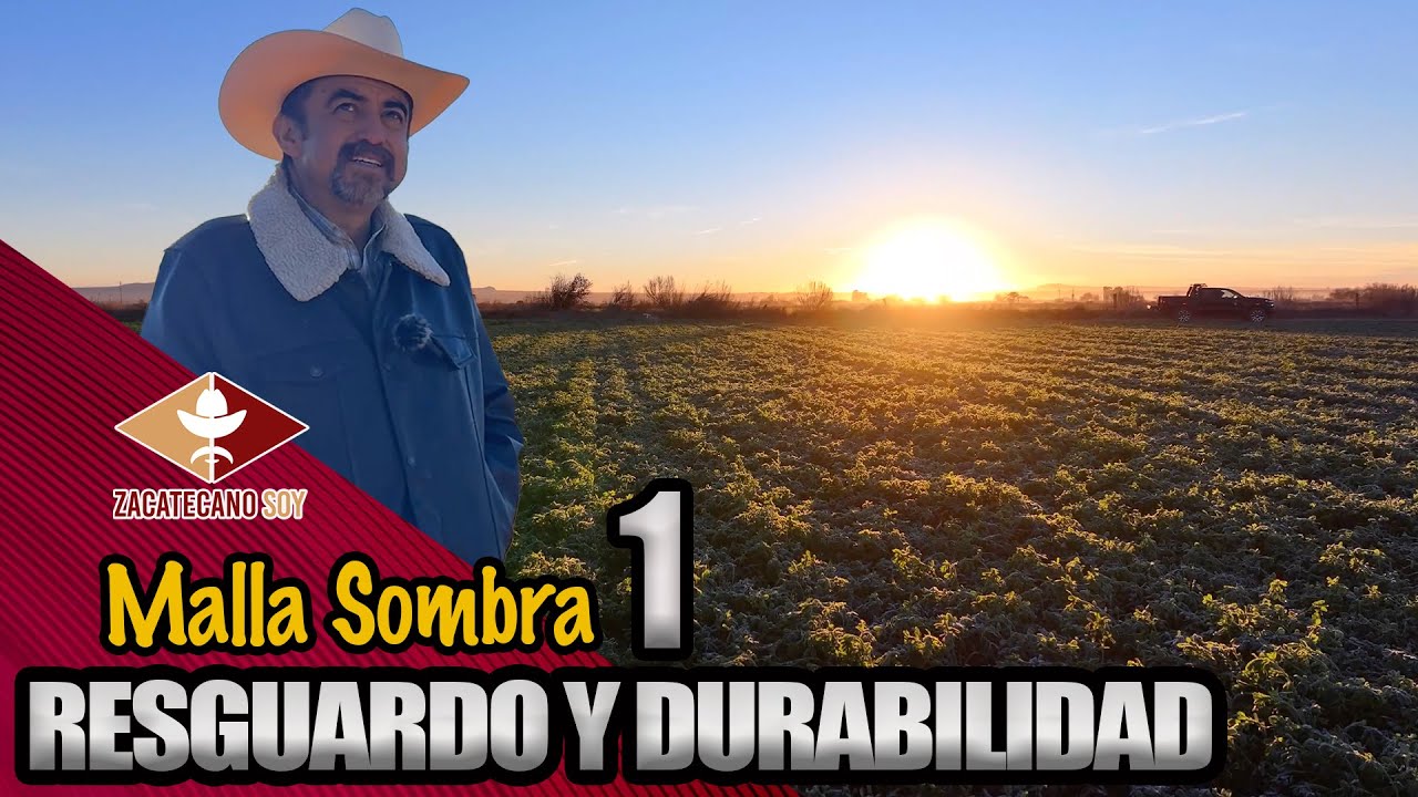 MALLA SOMRA PROTECCI&Oacute;N para tu cultivo