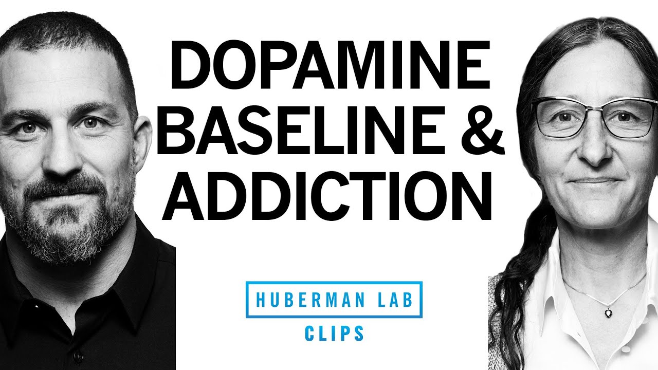 Dopamine Baseline, Impulsivity  & Addiction | Dr. Anna Lempke & Dr.Andrew Huberman