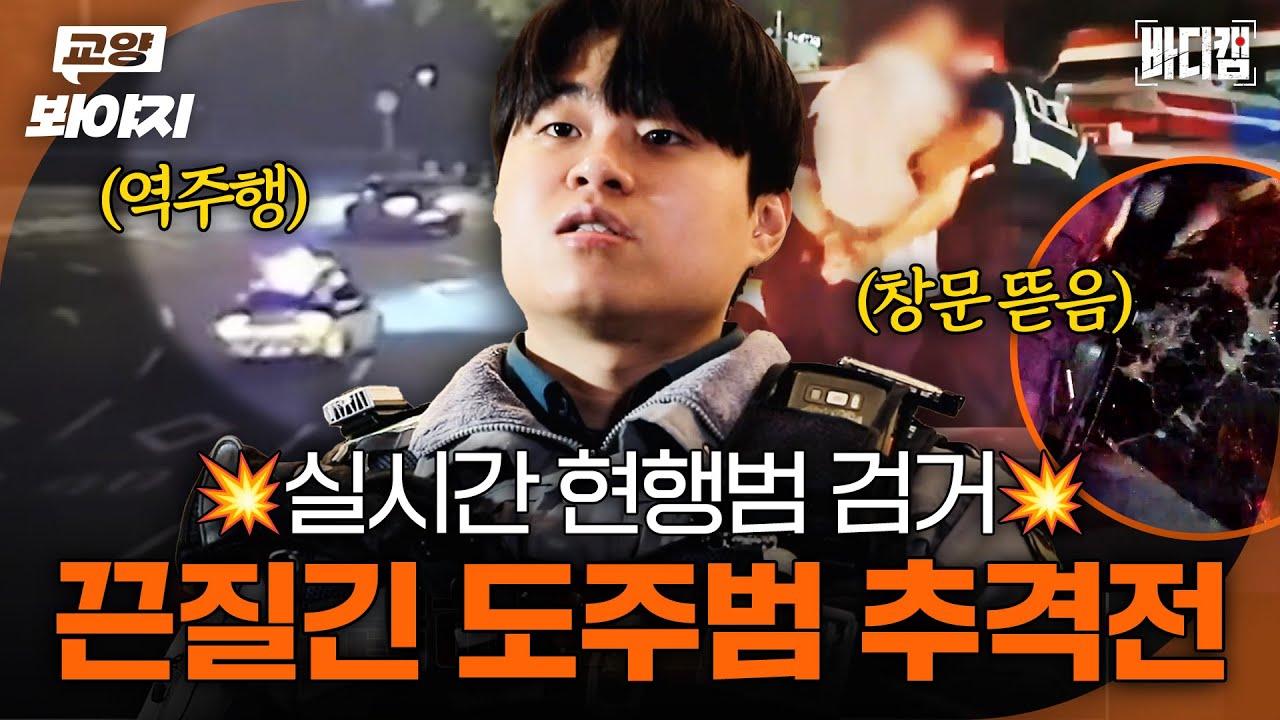 🚨긴급 상황 발생🚨 음주운전부터 2차 도주까지... 도로를 위협하는 도주범들 추격 현장 ㅣ바디캠ㅣJTBC 250227 방송 외