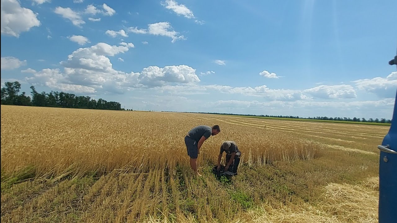 После дождя продолжаем косить!
