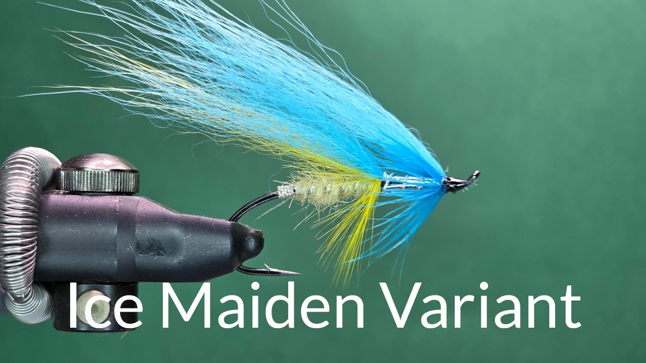 Ice Maiden Variant - One Fly A Day