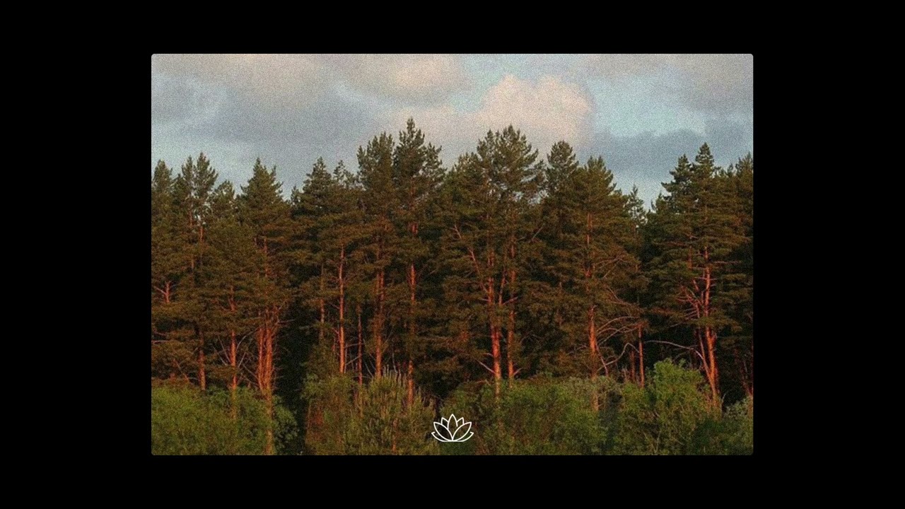 Sad Indie Folk x Acoustic Guitar Type Beat - “Passport”