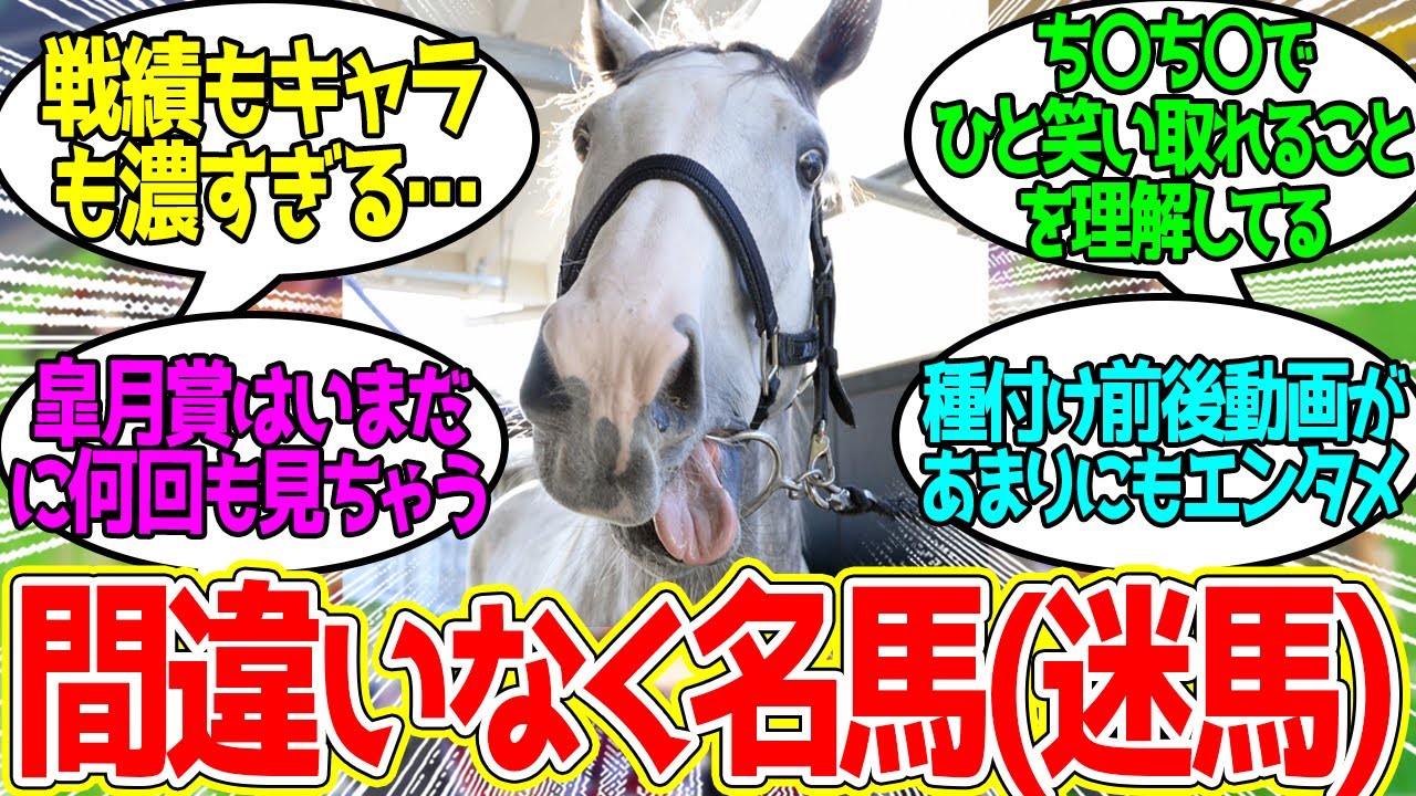 ゴルシ ← こいつの偉大さを痛感させられた…に対するみんなの反応！【競馬 の反応集】