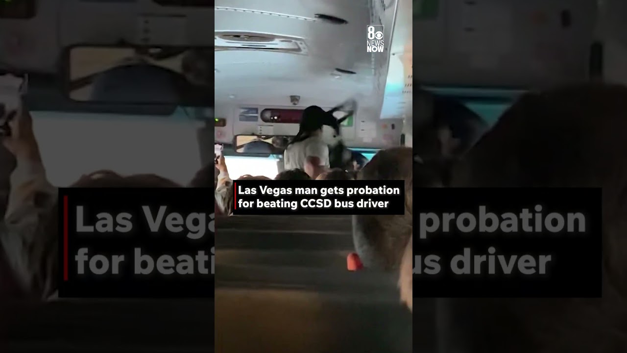 Las Vegas Man Gets Probation For Beating School Bus Driver   