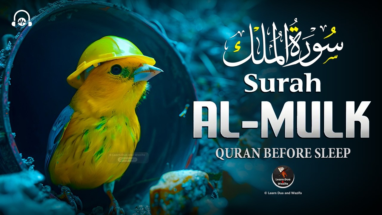 Surah Al-Mulk (سورة الملك) | Deep Sleep Quran Recitation for Night Peace & Protection | #love