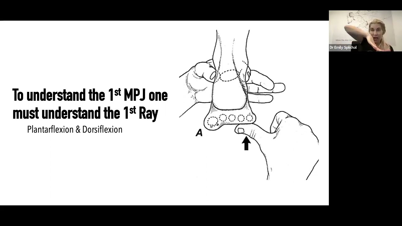 Unlock the Big Toe for Movement Efficiency with Dr Emily Splichal