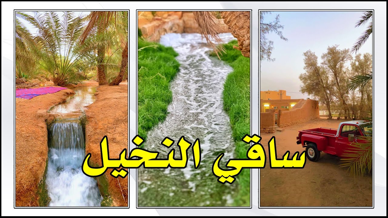 جلسة كايفه وشاهي جنب ساقي النخل