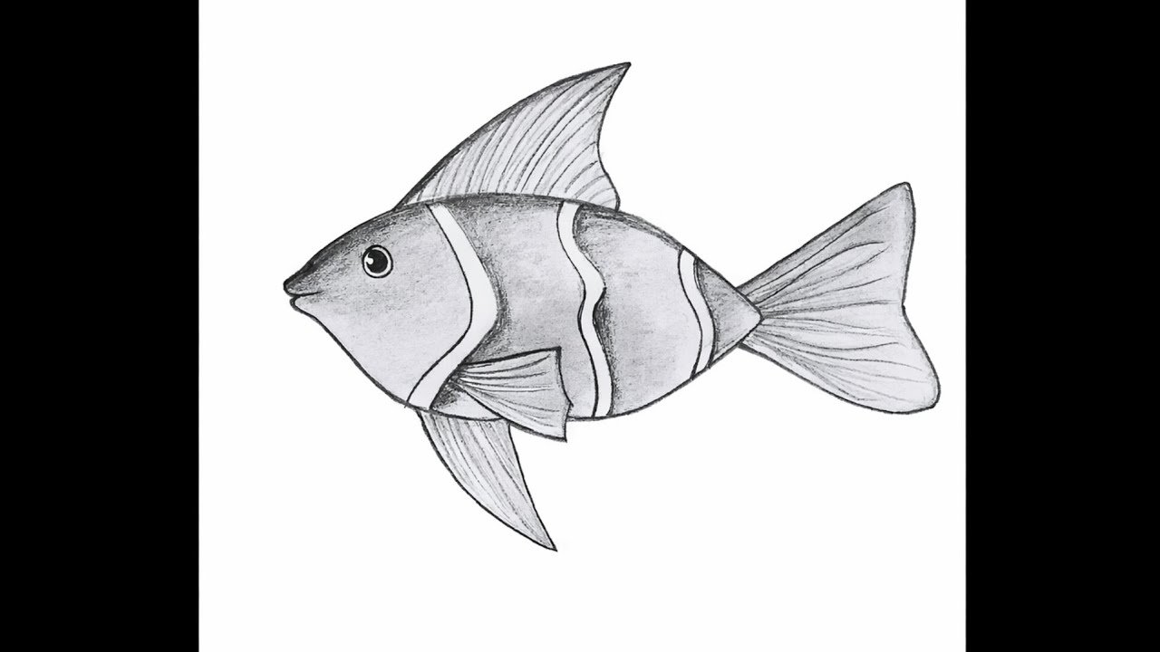 Amazing Fish Drawing with Pencil 🐟 | Easy Fish Sketch Step by Step