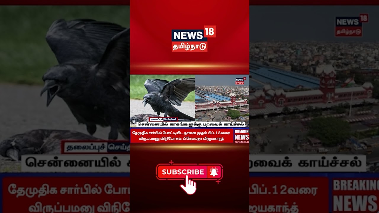 Chennai | சென்னையில் காகங்களுக்கு பறவைக் காய்ச்சல்! அதிகாரிகள் அவசர எச்சரிக்கை!