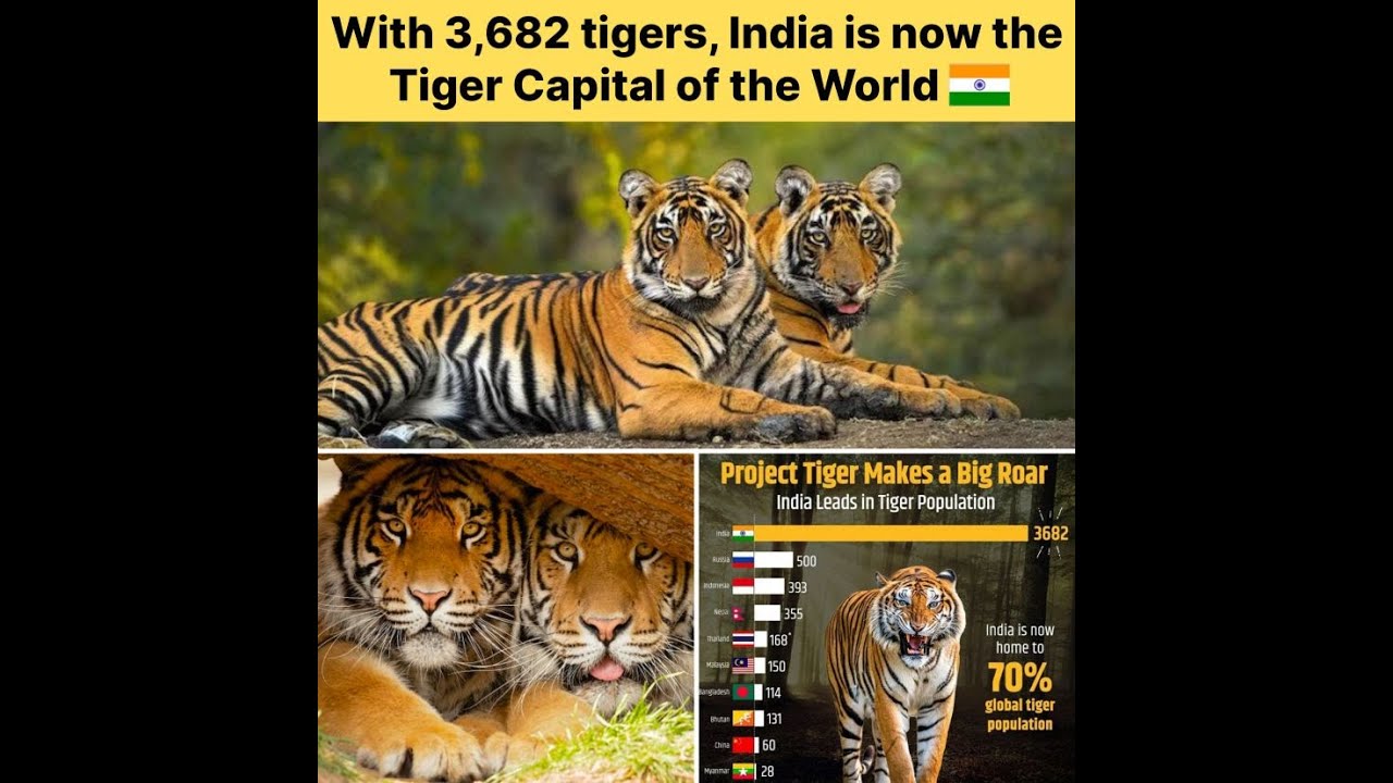 Roaring for Survival  India's Tiger Conservation Project : PART -  E