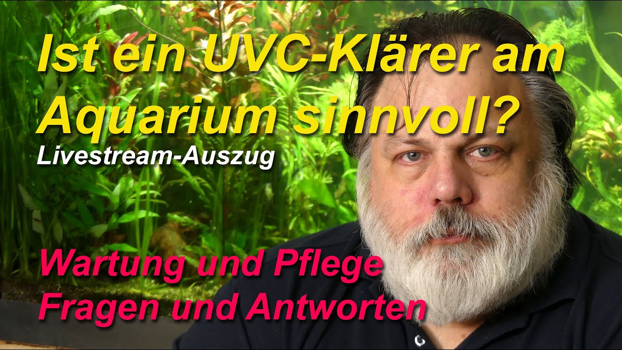 UVC-Klärer - Ist ein UVC-Wasserklärer am Aquarium sinnvoll? - Livestream-Auszug