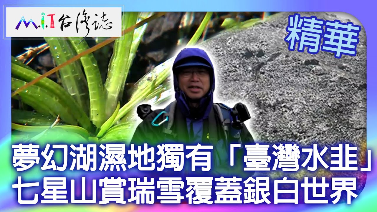夢幻湖濕地獨有「臺灣水韭」 七星山賞瑞雪覆蓋銀白世界｜臺北市士林區 麥覺明【@ctvmit822集】