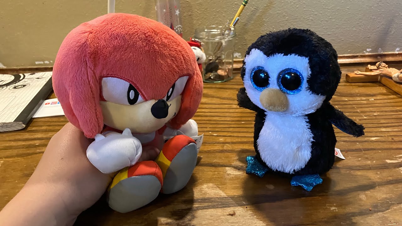 Knuckles Gets a Pet Penguin
