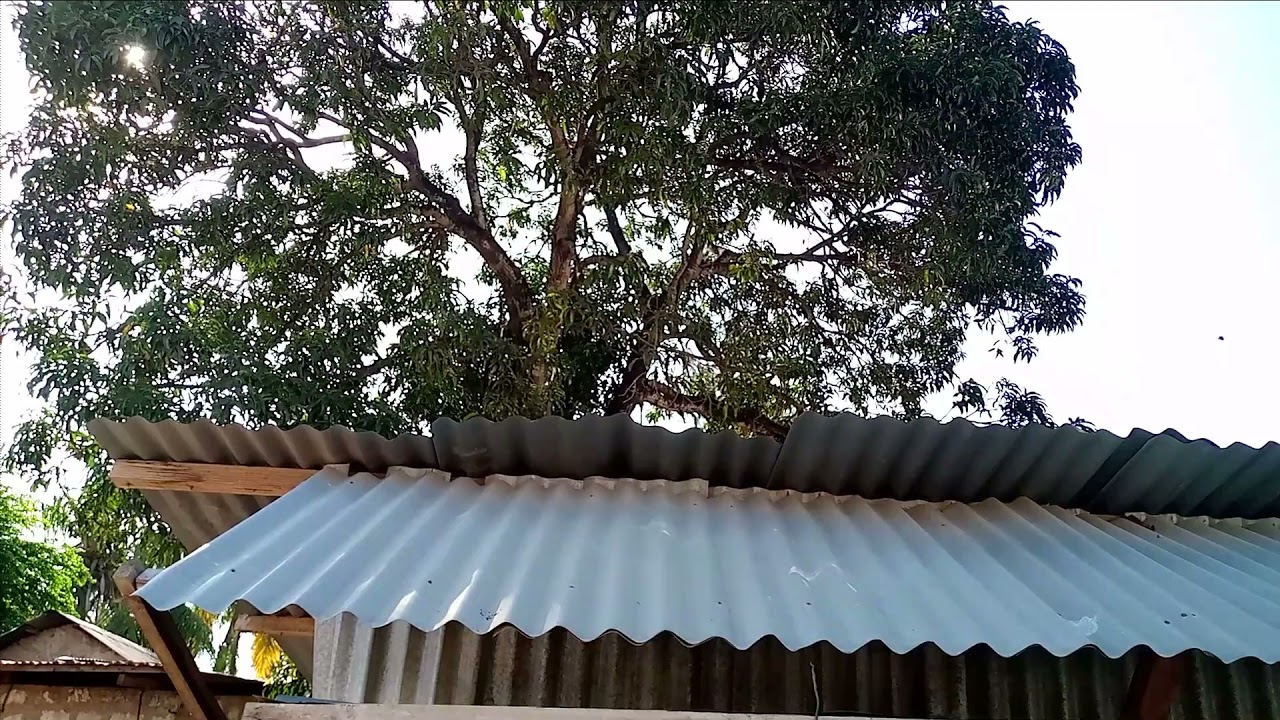 @tonyyulempole4919ft @masamkikreatives VILE BOYCHILD HUTESEKA KUCHAGUA NYANYA KWA KIBANDA 🍅🍅😰#comedy